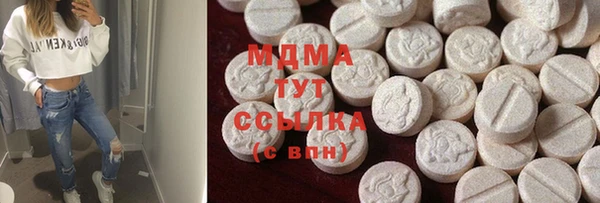 индика Тихвин
