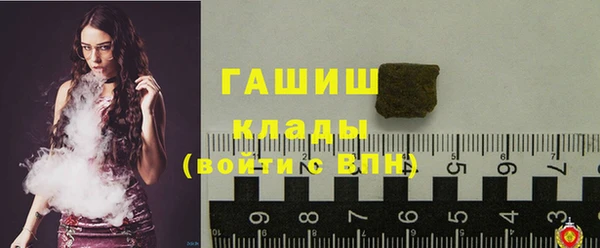 прущие грибы Балабаново