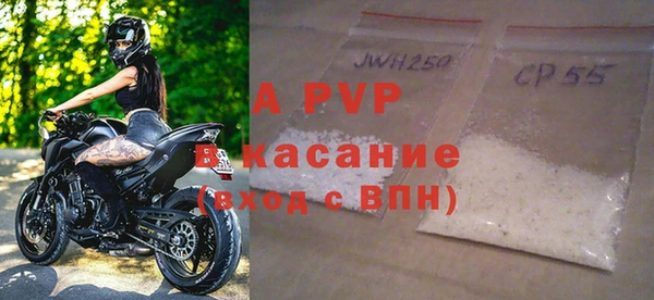 молекула духа Туринск