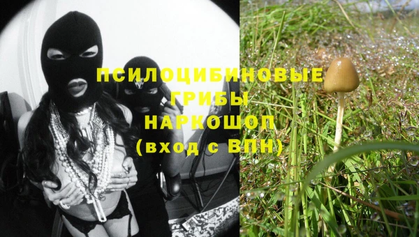 ECSTASY Армянск