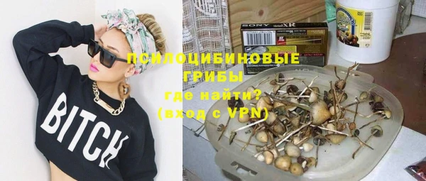 ALPHA PVP Тобольск