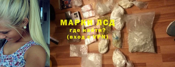прущие грибы Балабаново