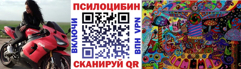 kraken ONION  Кудымкар  Псилоцибиновые грибы Magic Shrooms 