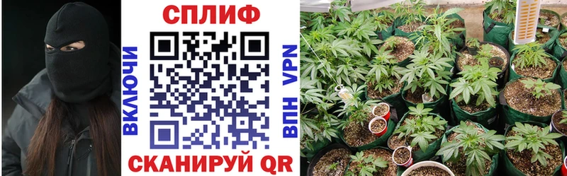 кракен онион  Кудымкар  Каннабис White Widow 